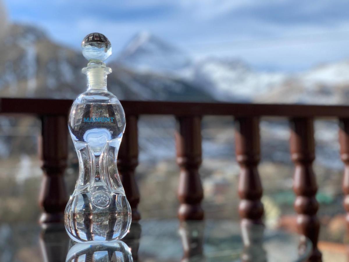 Come & Rest Kazbegi Ngoại thất bức ảnh